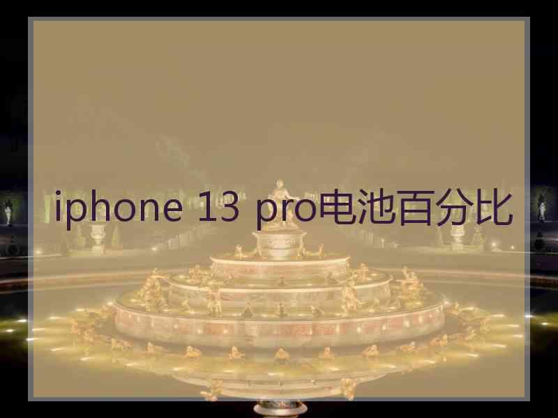 iphone 13 pro电池百分比