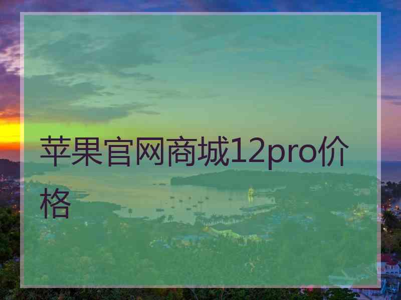 苹果官网商城12pro价格