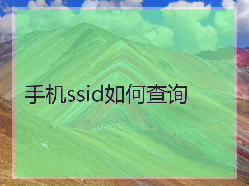 手机ssid如何查询