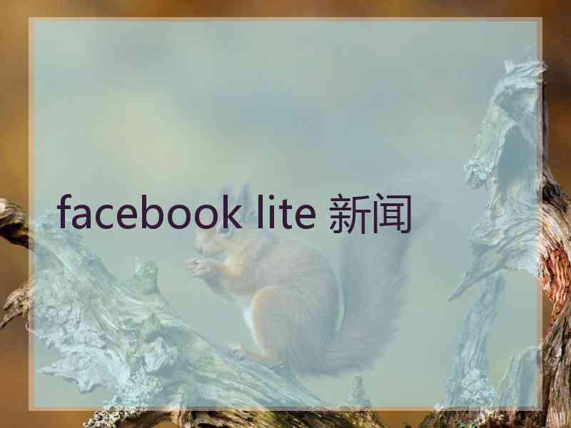 facebook lite 新闻