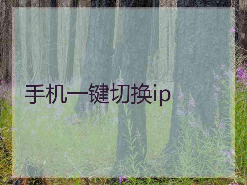 手机一键切换ip