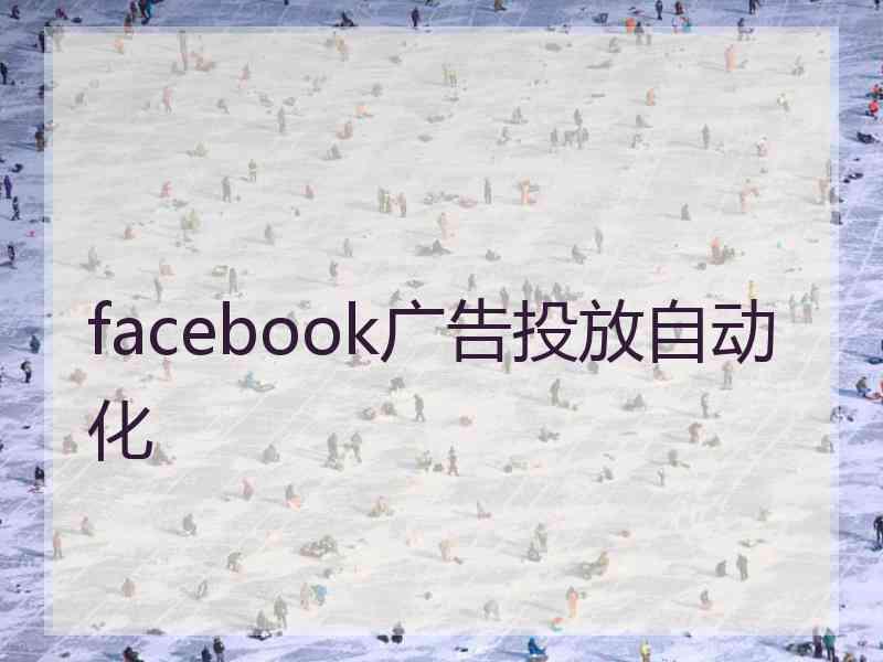 facebook广告投放自动化