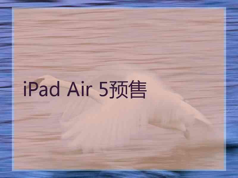 iPad Air 5预售