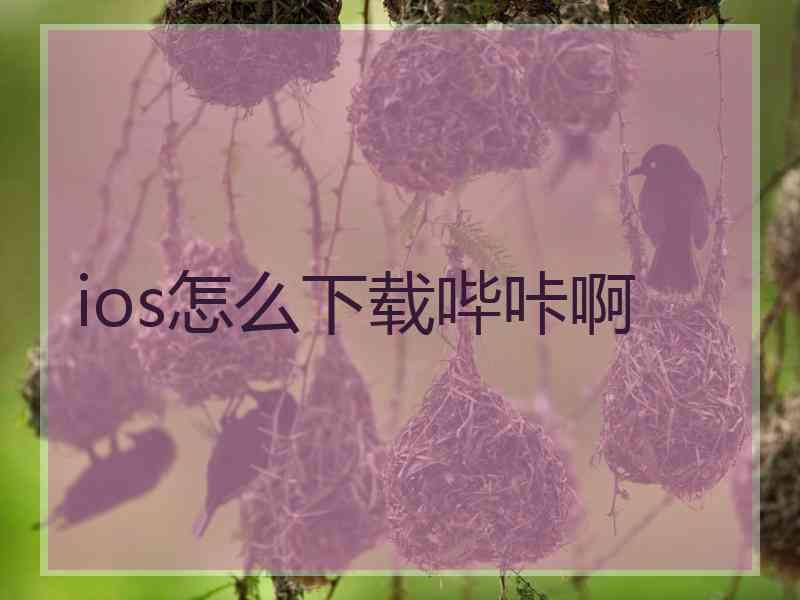 ios怎么下载哔咔啊