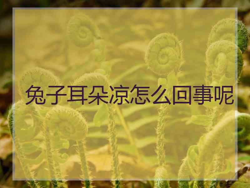 兔子耳朵凉怎么回事呢