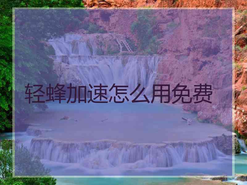 轻蜂加速怎么用免费