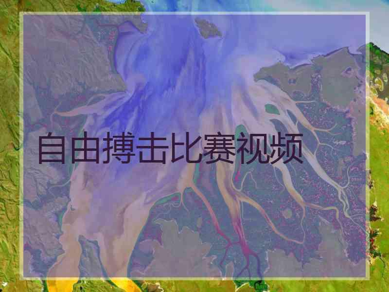 自由搏击比赛视频