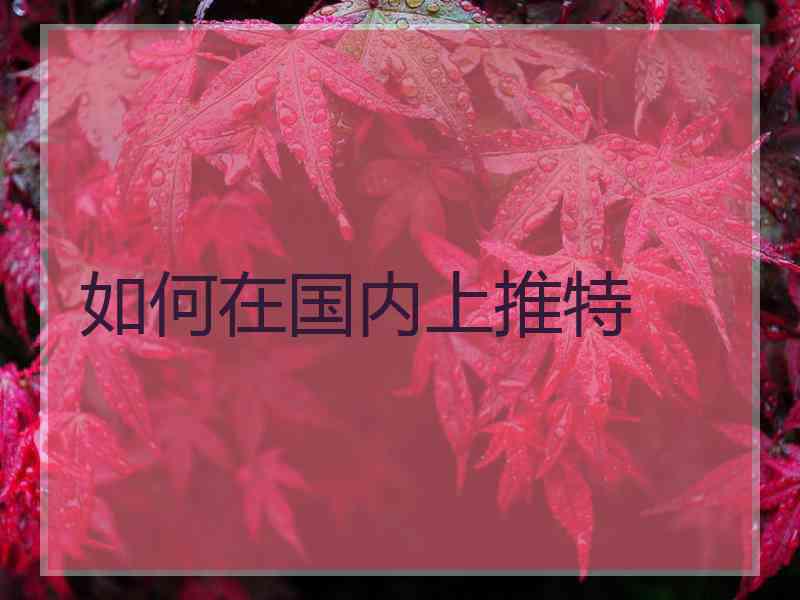 如何在国内上推特