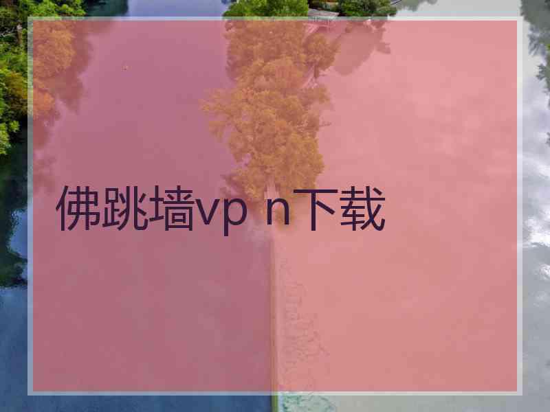 佛跳墙vp n下载