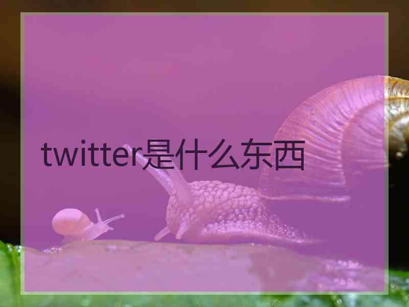 twitter是什么东西