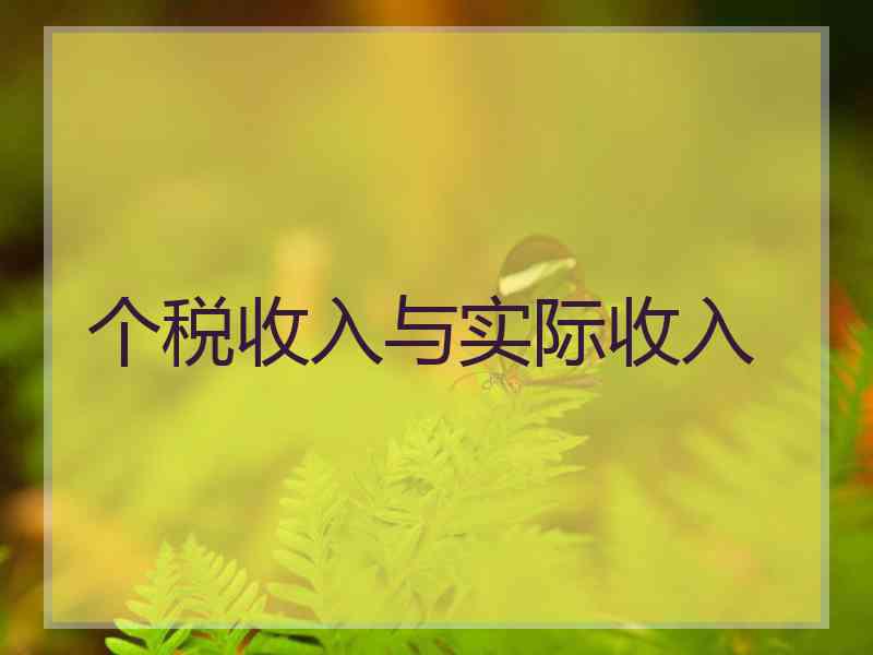 个税收入与实际收入