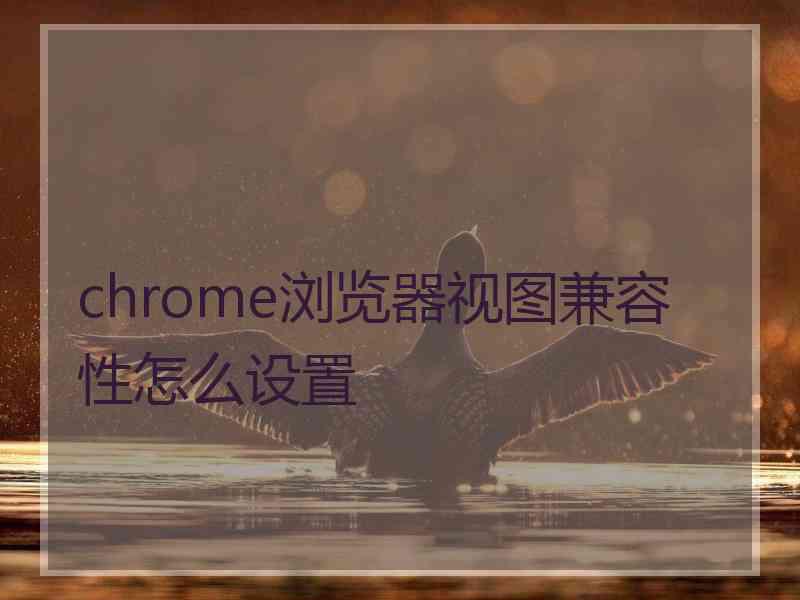 chrome浏览器视图兼容性怎么设置