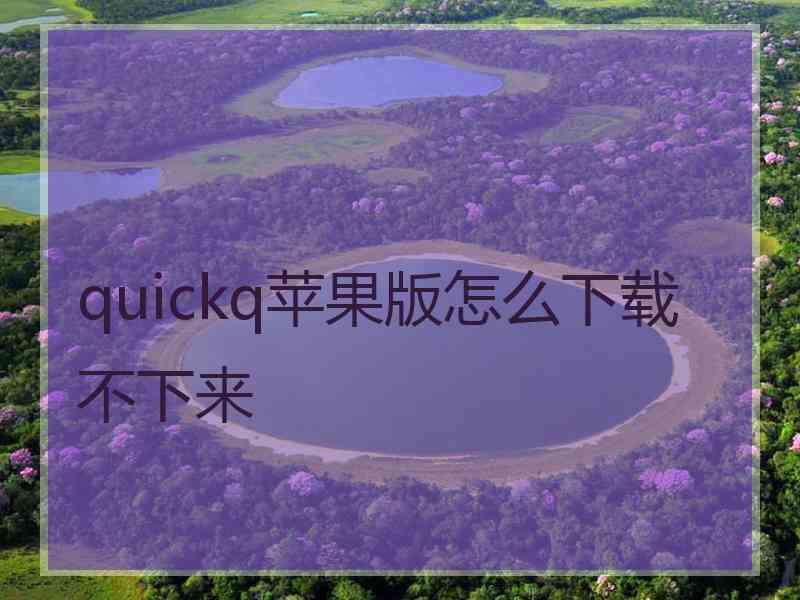 quickq苹果版怎么下载不下来