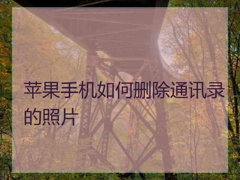 苹果手机如何删除通讯录的照片