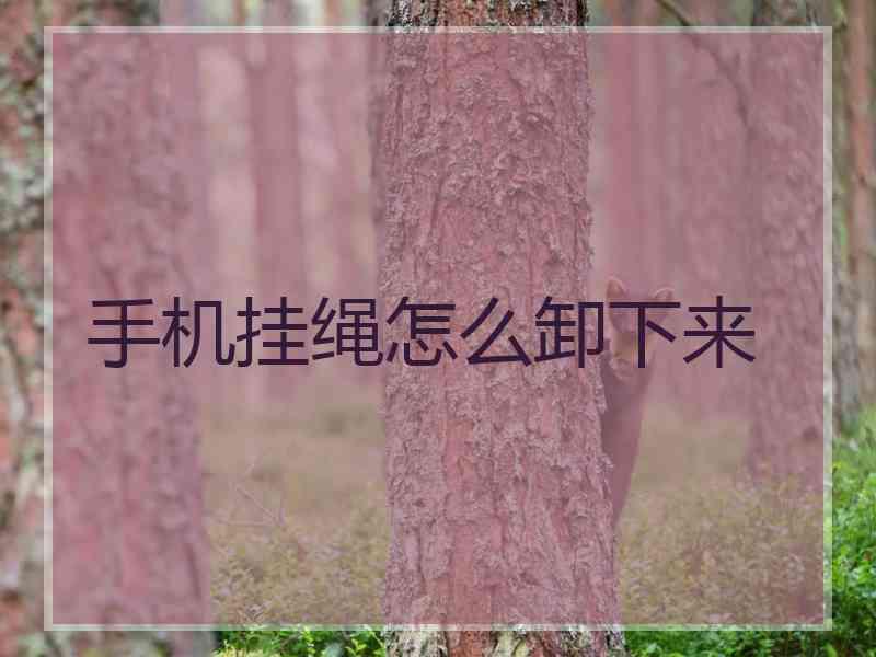 手机挂绳怎么卸下来