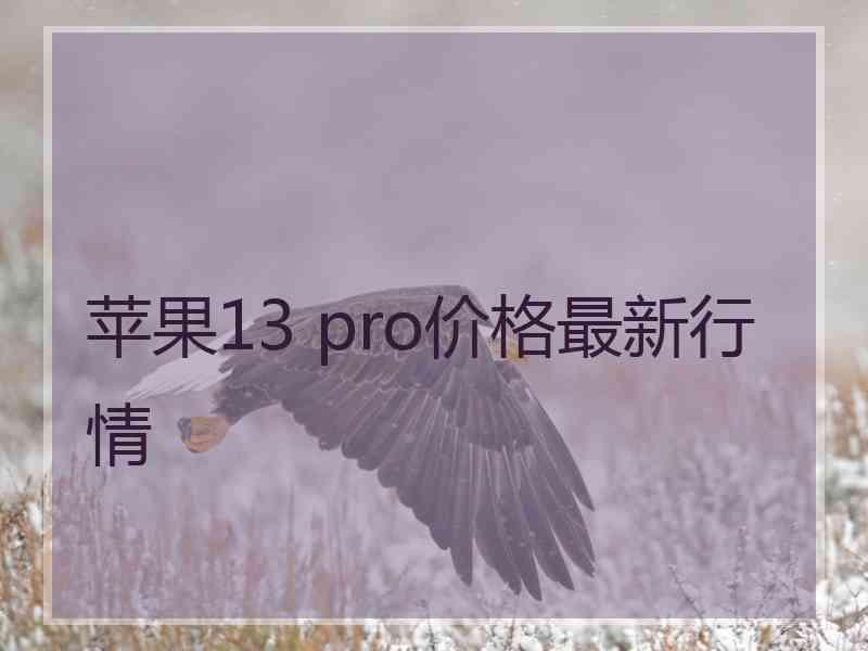 苹果13 pro价格最新行情