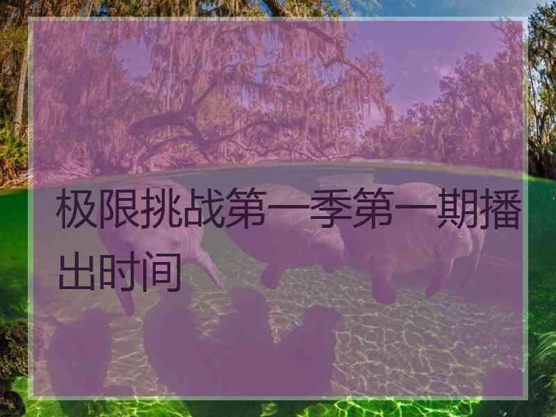 极限挑战第一季第一期播出时间