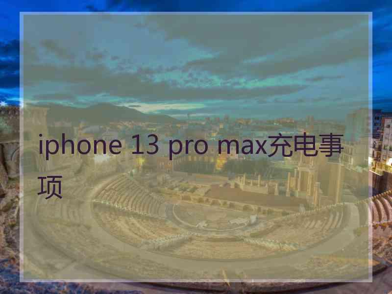 iphone 13 pro max充电事项