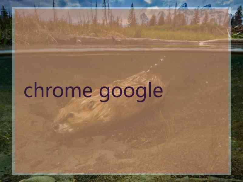 chrome google