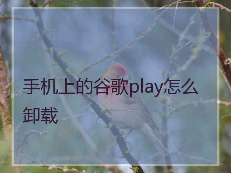 手机上的谷歌play怎么卸载