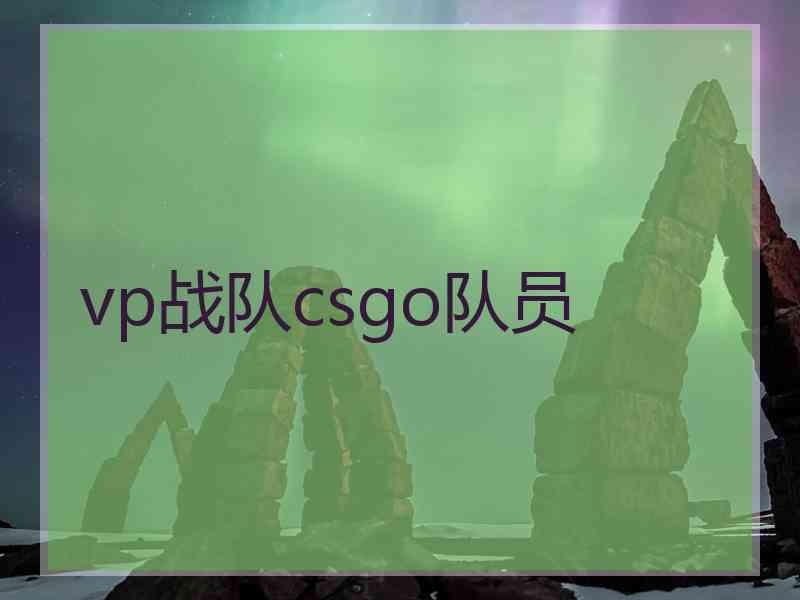 vp战队csgo队员