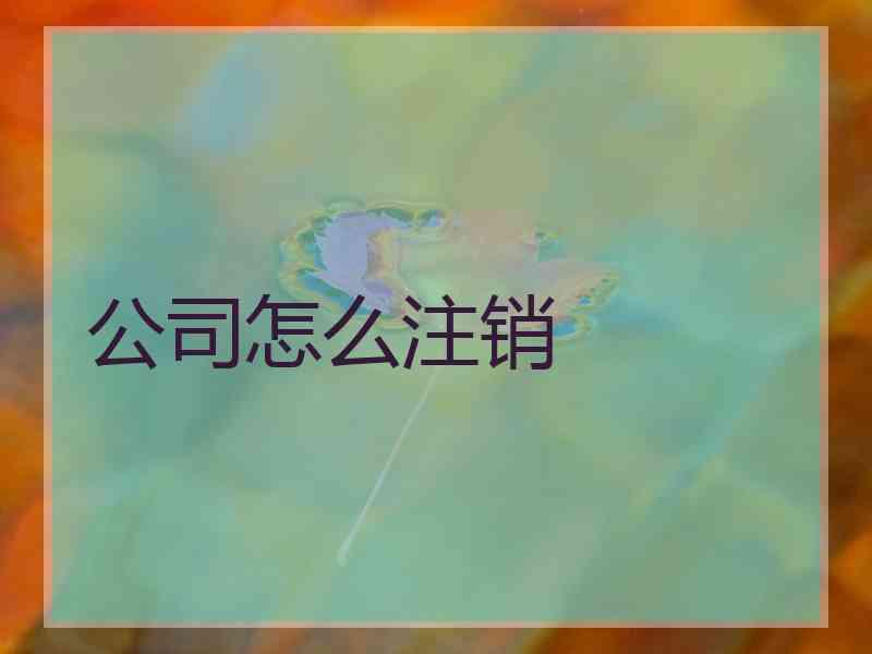 公司怎么注销