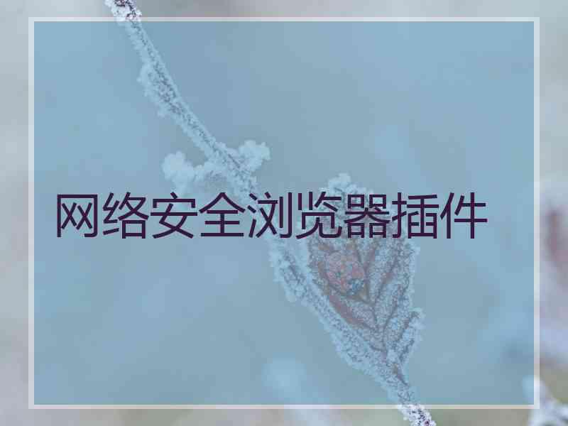 网络安全浏览器插件