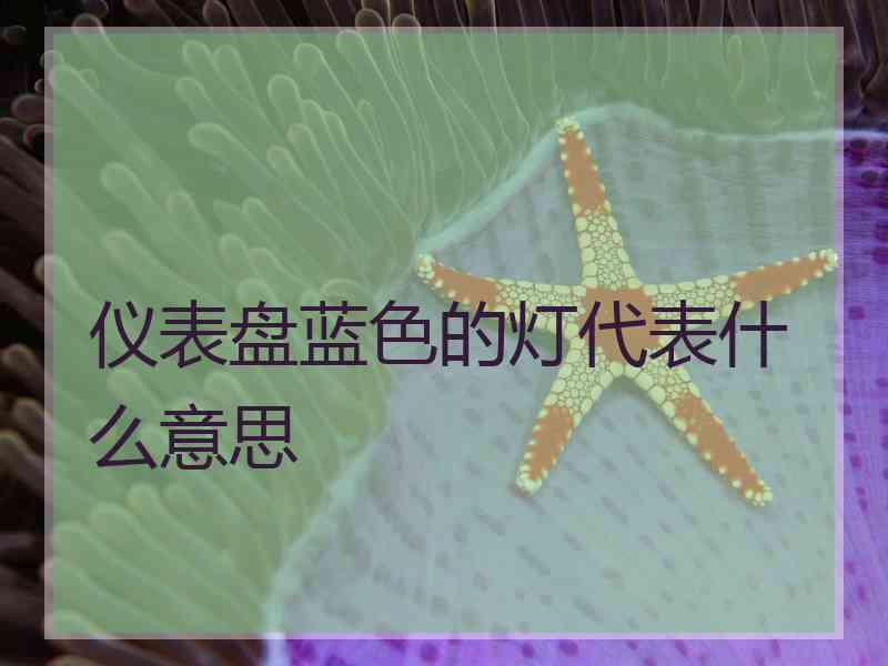 仪表盘蓝色的灯代表什么意思