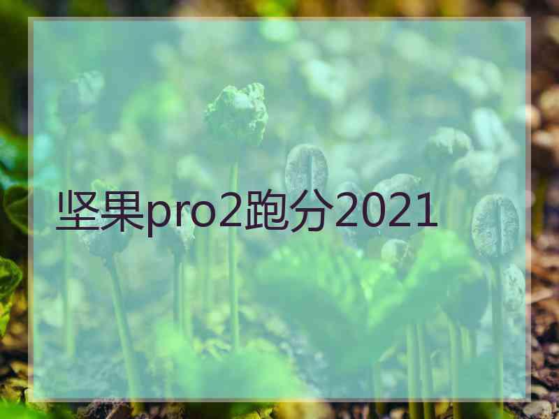 坚果pro2跑分2021