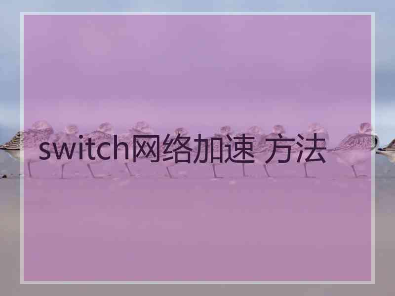 switch网络加速 方法