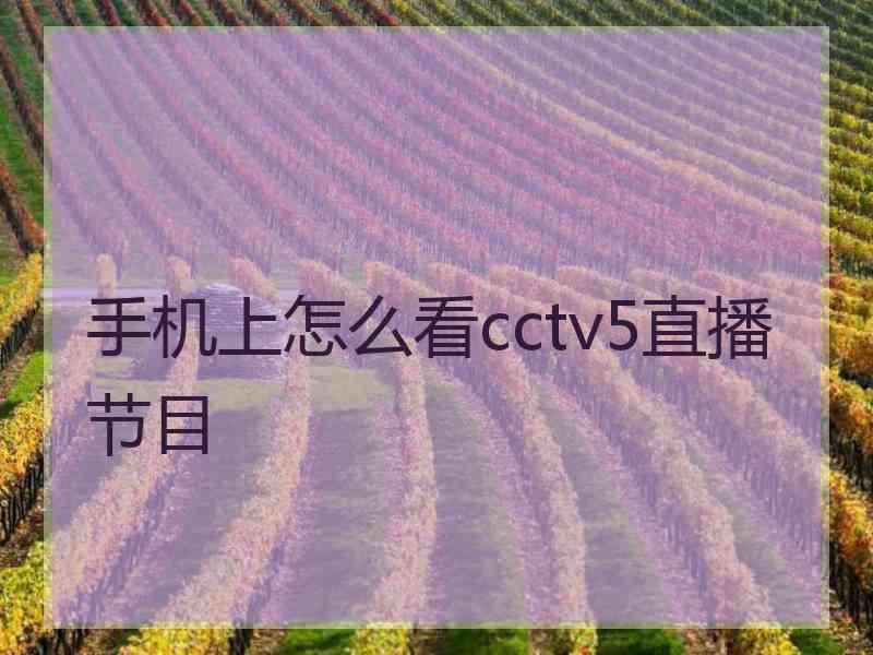 手机上怎么看cctv5直播节目