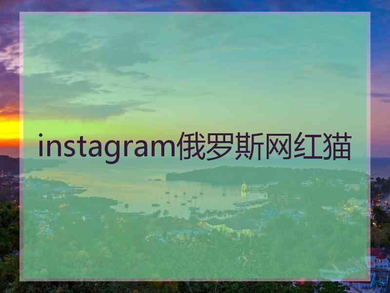 instagram俄罗斯网红猫