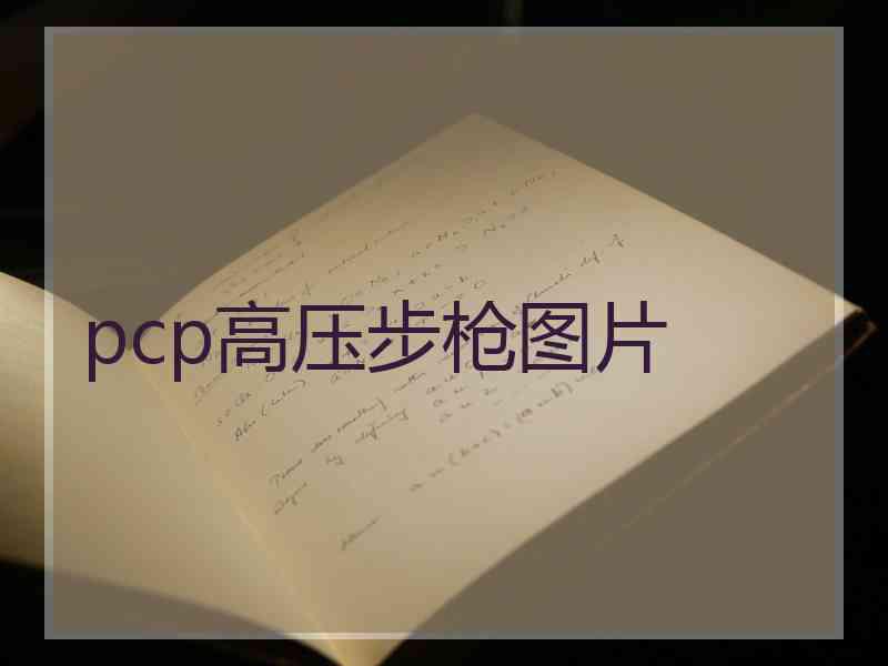 pcp高压步枪图片