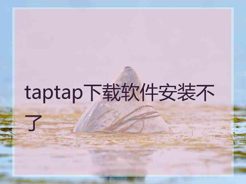 taptap下载软件安装不了