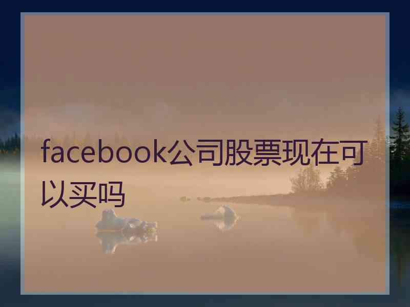 facebook公司股票现在可以买吗