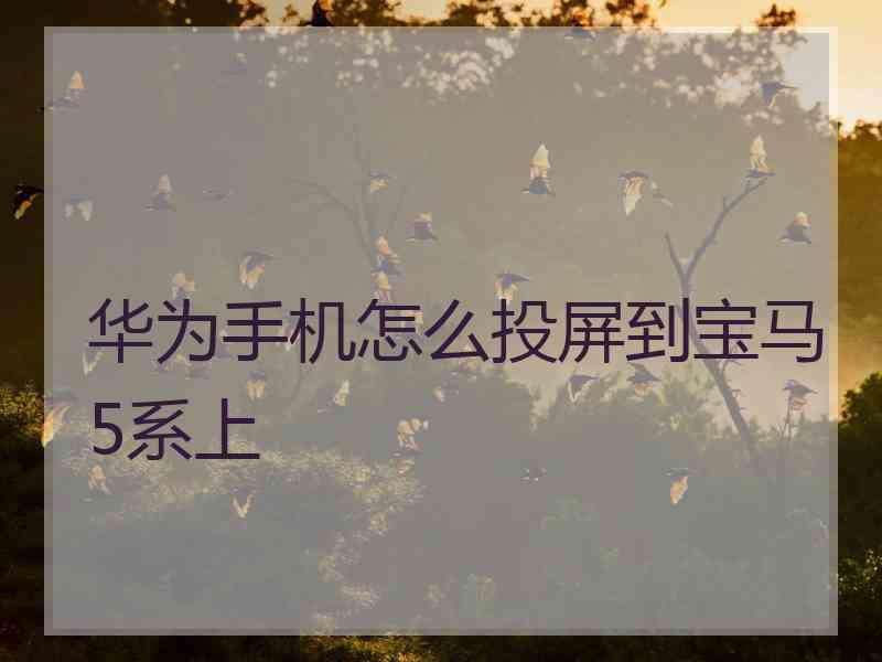 华为手机怎么投屏到宝马5系上