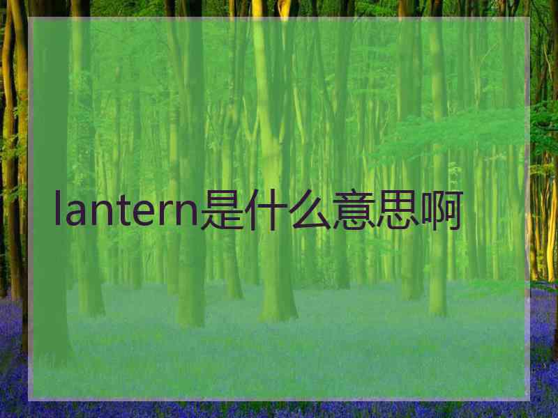 lantern是什么意思啊