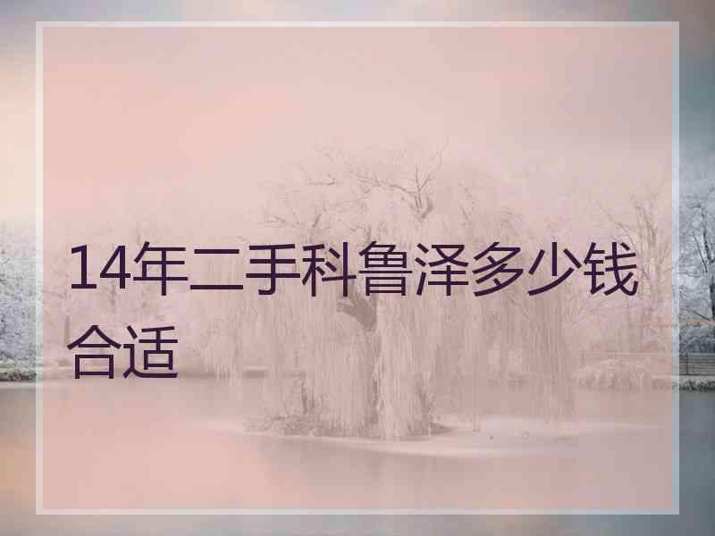 14年二手科鲁泽多少钱合适