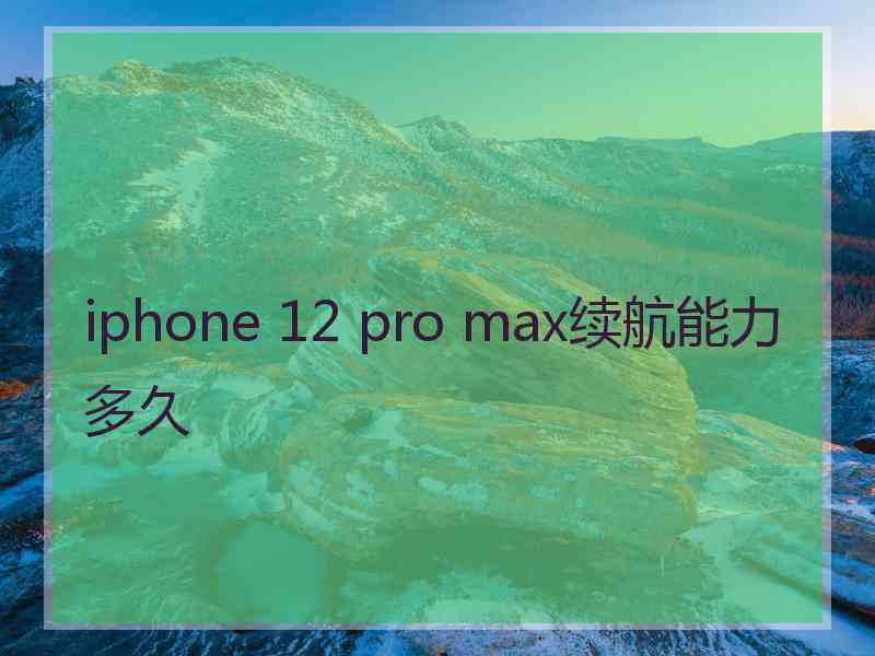 iphone 12 pro max续航能力多久