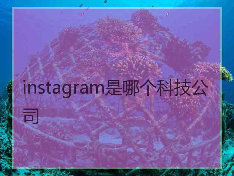 instagram是哪个科技公司