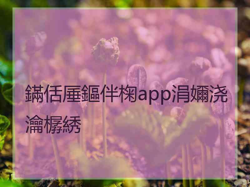 鏋佸厜鏂伴椈app涓嬭浇瀹樼綉