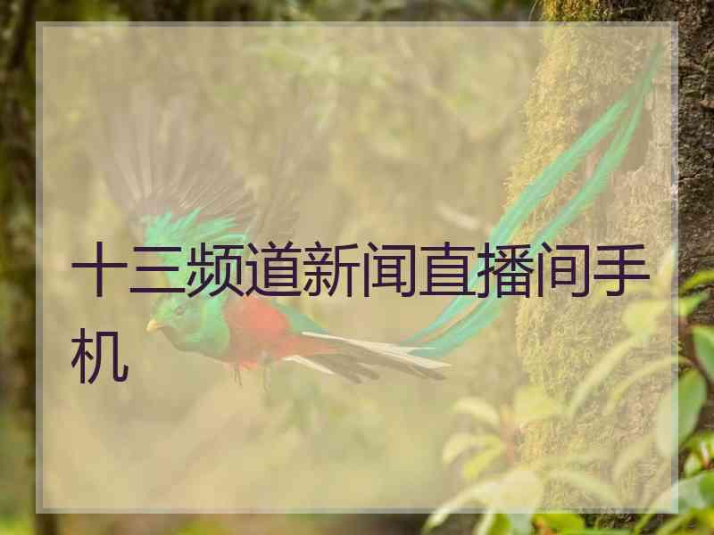 十三频道新闻直播间手机