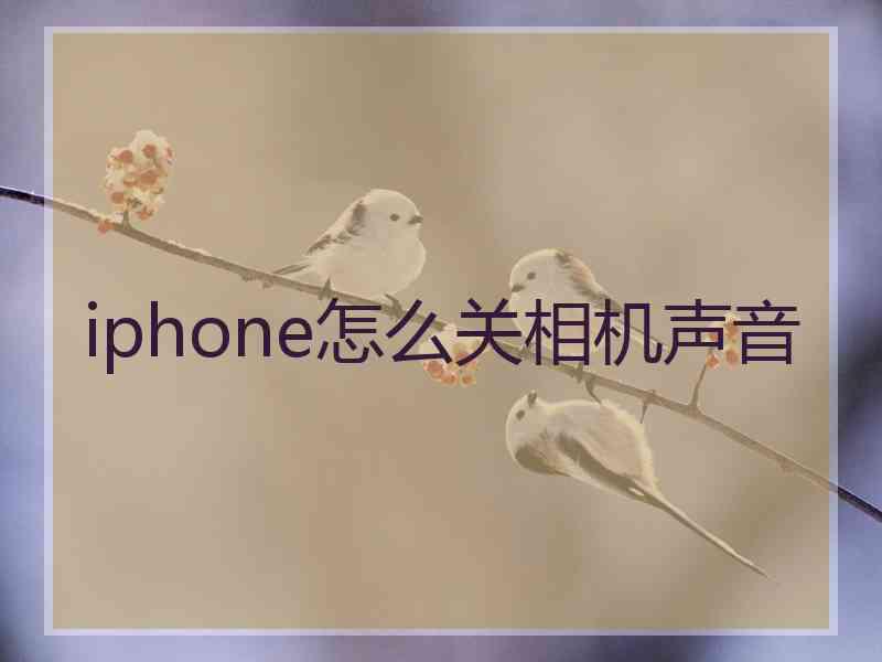 iphone怎么关相机声音