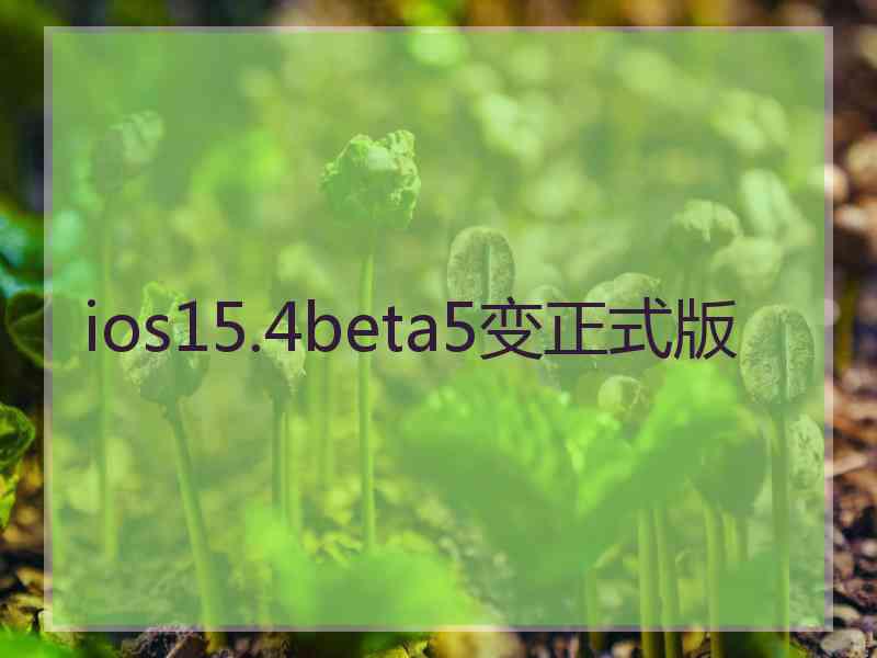 ios15.4beta5变正式版