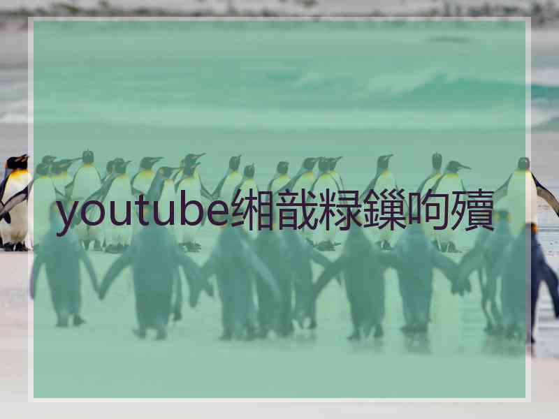 youtube缃戠粶鏁呴殰