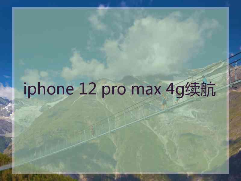 iphone 12 pro max 4g续航