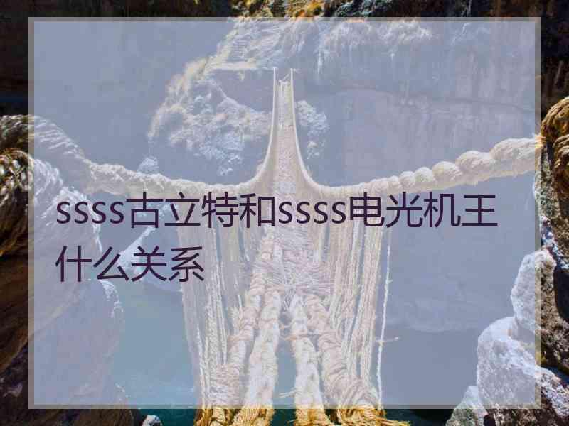 ssss古立特和ssss电光机王什么关系