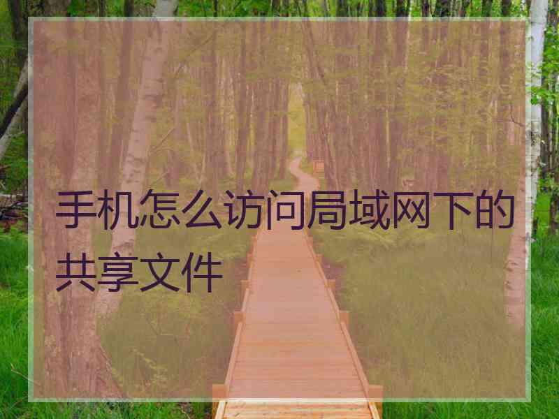 手机怎么访问局域网下的共享文件