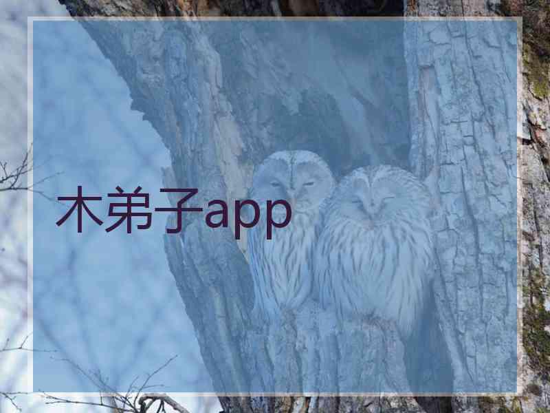 木弟子app