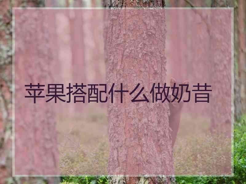 苹果搭配什么做奶昔